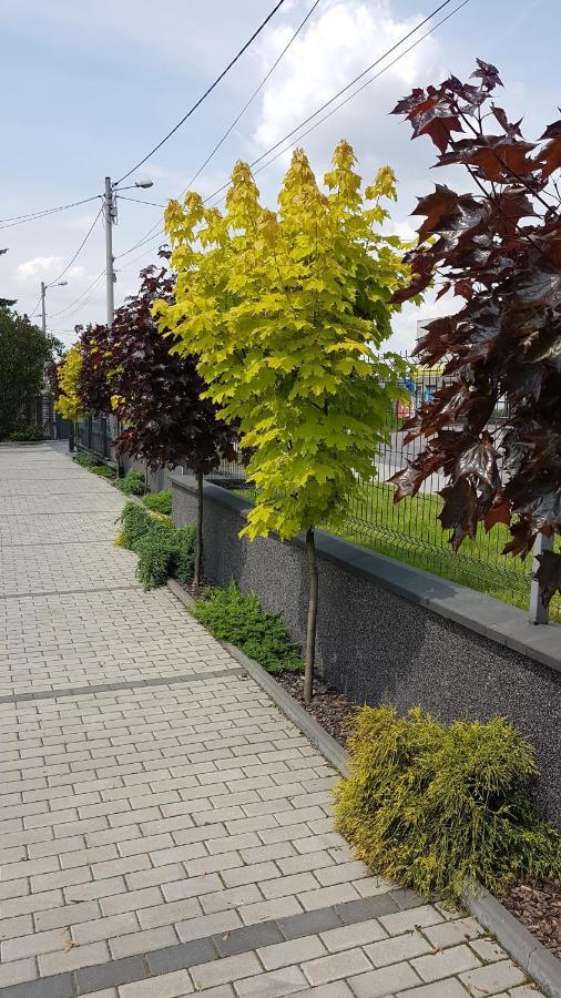 Apartament Angelo Sosnowiec Eksteriør bilde